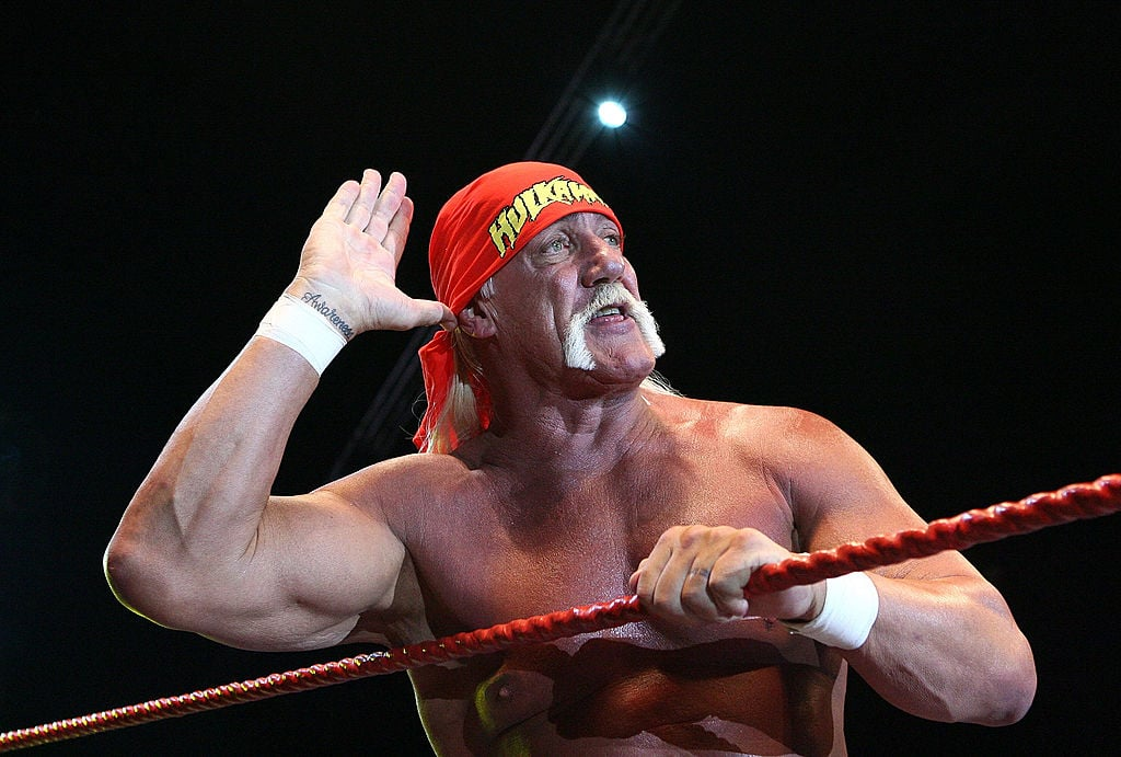 hulk hogan net worth